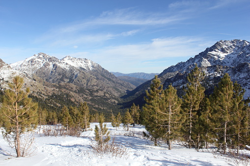 Voyager en Corse pour vos vacances d’hiver !